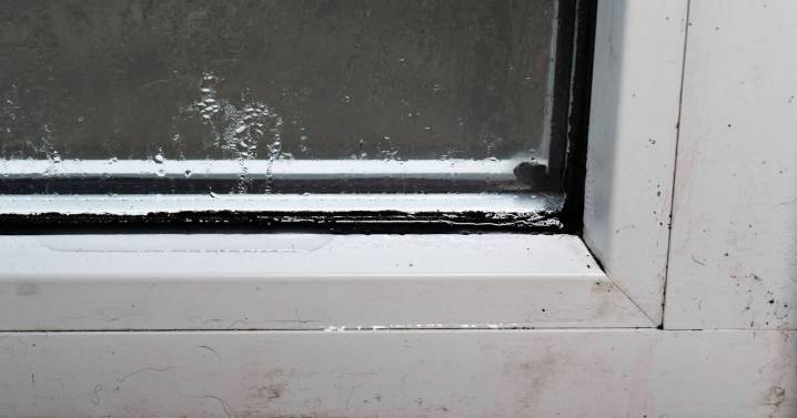 Condensation and mould stay off windows if you use simple kitchen item