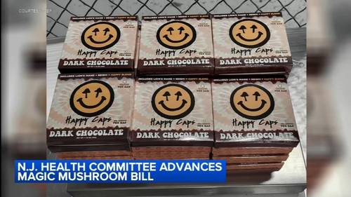 Assembly lawmakers in New Jersey advance bill to legalize psilocybin, also known as 'magic mushrooms'