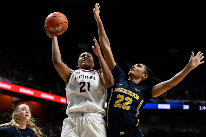 How to watch college basketball free stream today: Utah Utes vs. No. 1 UConn Huskies