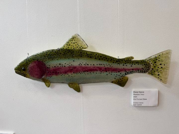 Saddleback College Emeritus glass exhibit showcases denizens of the deep