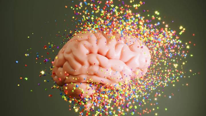 ¿Hasta los 32 años con cerebro de adolescente? Un nuevo estudio indica que la materia blanca continúa su desarrollo en esta etapa.