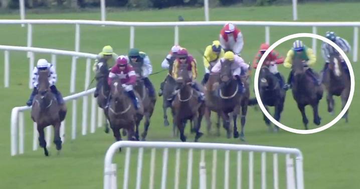 Bargain buy Young Rebel lands huge gamble from 66