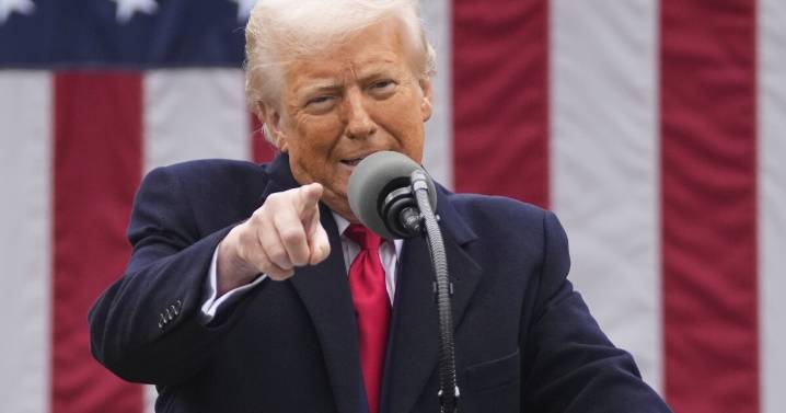 Trump floats tariff 'dividends' even while plan shows major flaws