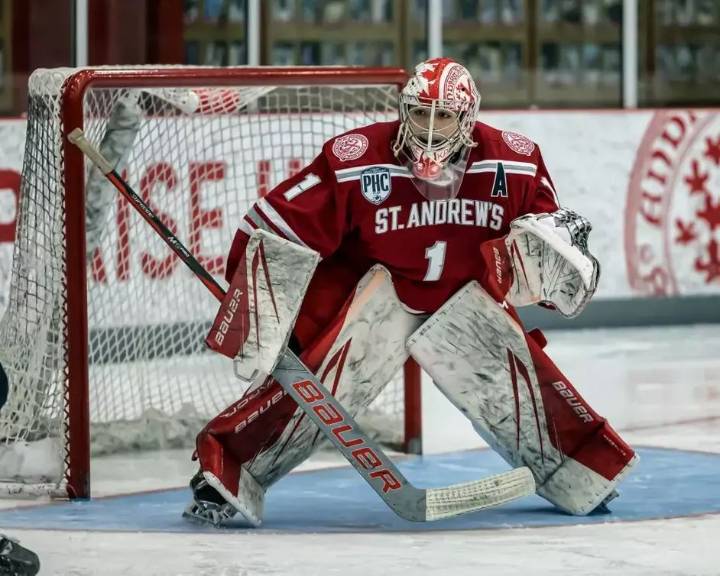Sudbury Wolves acquire rights to goalie Paolo Frasca