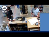 2 US citizens arrested in alleged ISIS-inspired Halloween plot: DOJ