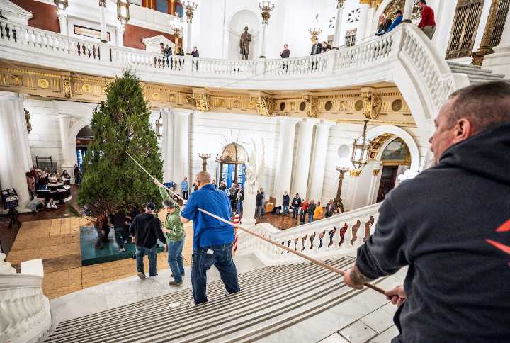 Pa.’s Christmas tree completes another delicate dance into the Capitol
