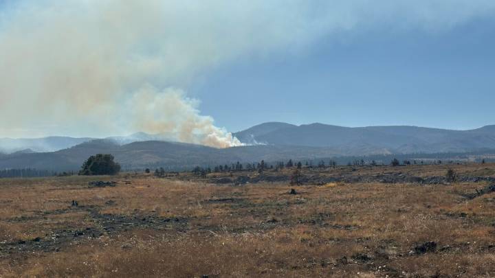 Blue Fire breaks out in Gila Wilderness