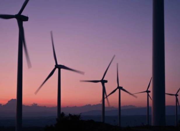 Bid to declare Chatham-Kent unwilling wind farm host fails