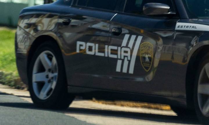 Muere de conductora tras estrellarse contra un árbol en Ciales