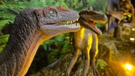 "Viven Dinosaurios" sigue en Godoy Cruz hasta el 11 de diciembre