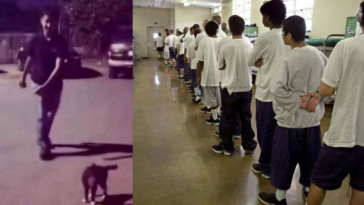 Joven de Laredo que hizo 'volar' a gatito ya está internado; enfrenta cargos por crueldad animal