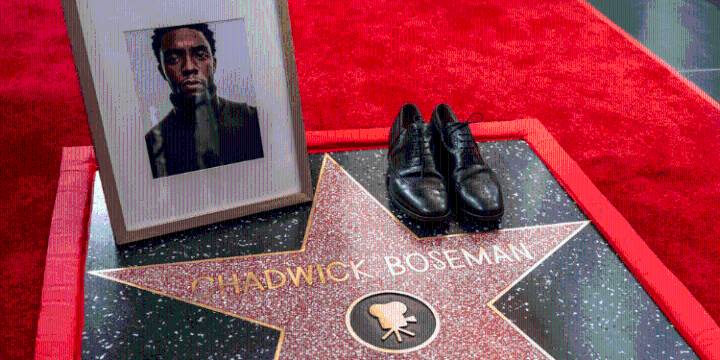 Chadwick Boseman recibe una estrella póstuma