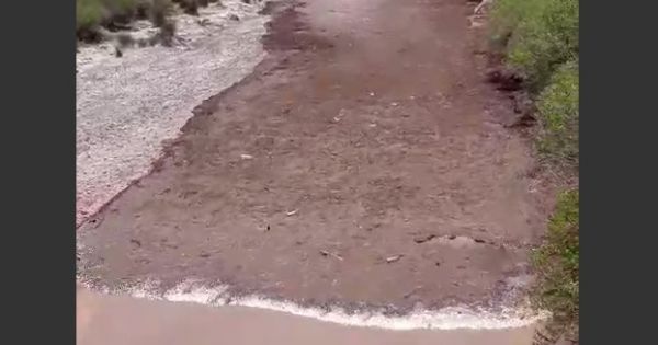 Salteña grabó el momento exacto de la crecida del río en Cafayate [VIDEO]