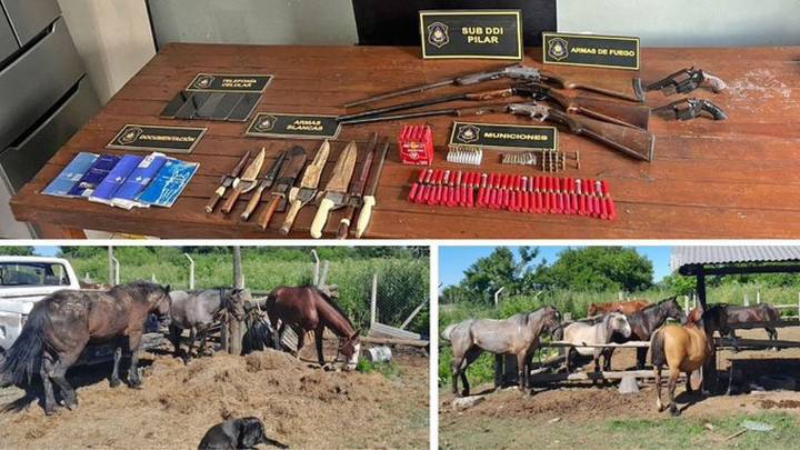 Detuvieron a una banda dedicada al robo de caballos