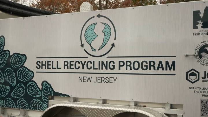 NJ restaurants recycle discarded oyster shells to rebuild reefs