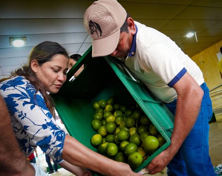 Campesinos de Uribe vendieron en dos horas la producción del limón Tahití