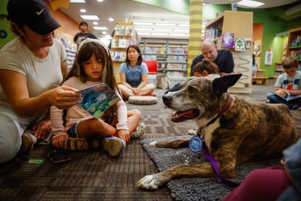 Bay Area events calendar for Nov. 14