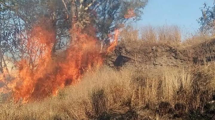 Baldíos y quemas descontroladas elevan el riesgo de incendios en Salamanca
