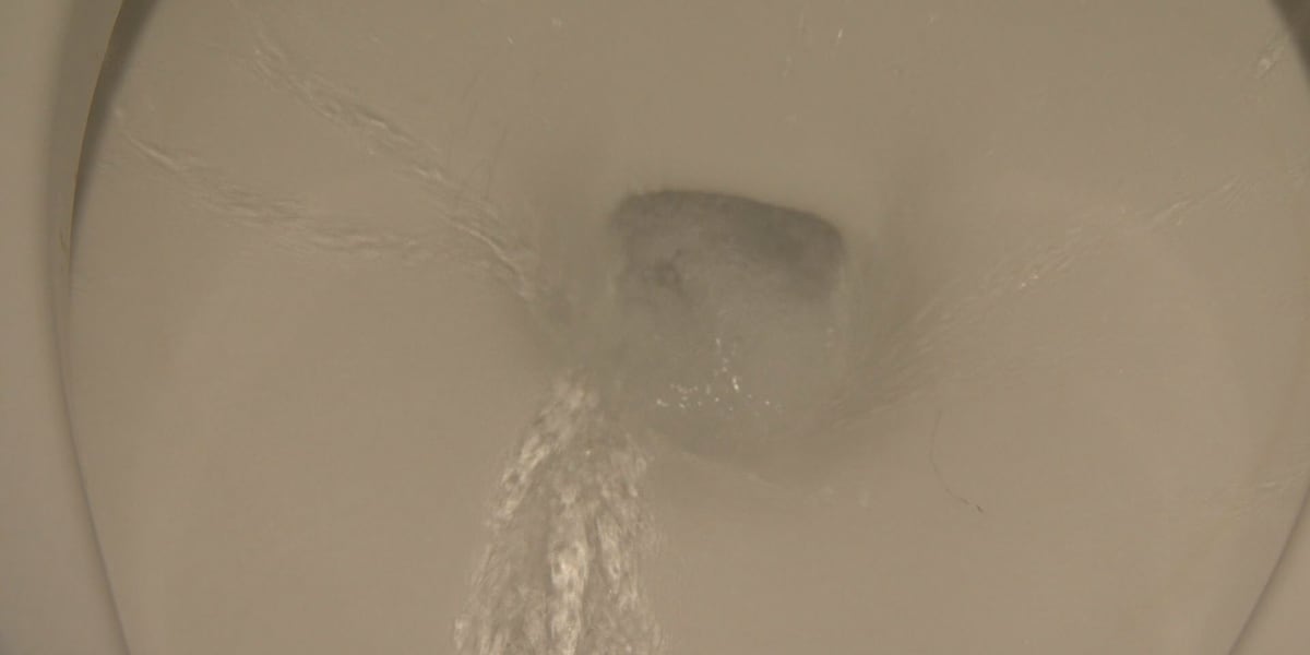 Enter to win a toilet from Kauai’s Department of Water