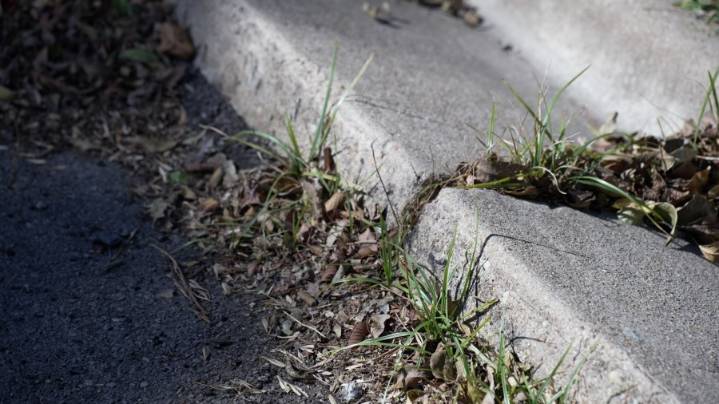 City of Taylor to invest in fixing curb infrastructure