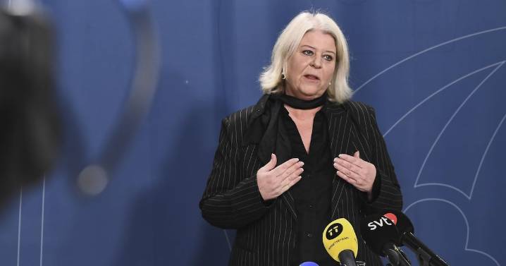 Illegal online sex doll sales: Sweden promises action