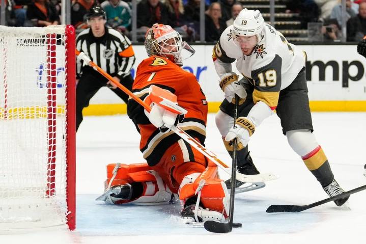 Anaheim Ducks goalie Lukas Dostal sidelined for two to three weeks with upper