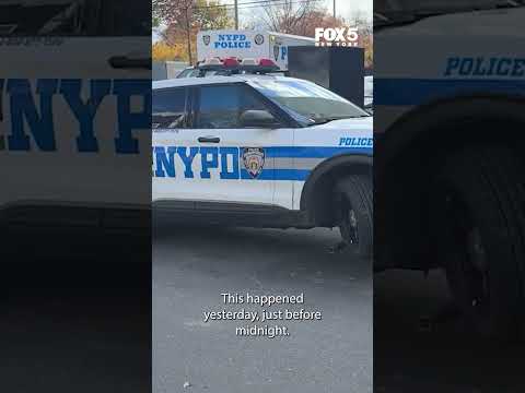 11 NYPD vehicles vandalized in Queens, police report