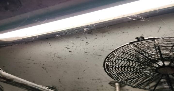 Passengers Lament Miserable Condition of Agartala–Karimganj DEMU Train: Delays, Dirt, and Discomfort Plague Daily Journey