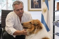 Dolor en el mundo canino: Murió Dylan, el perro de Alberto Fernández