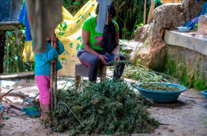 EXCLUSIVO: La conexión entre el Comando Vermelho, al que le hicieron el operativo con 132 muertos en Brasil, y el negocio de cripa en Colombia