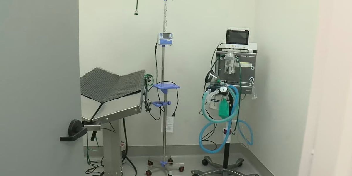 New pet hospital in Vestavia Hills providing personal care with cutting edge technology