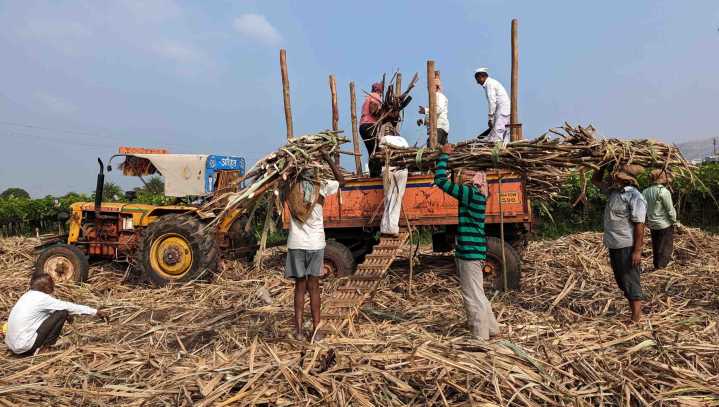 Maha offers Incentives for performing sugar mills
