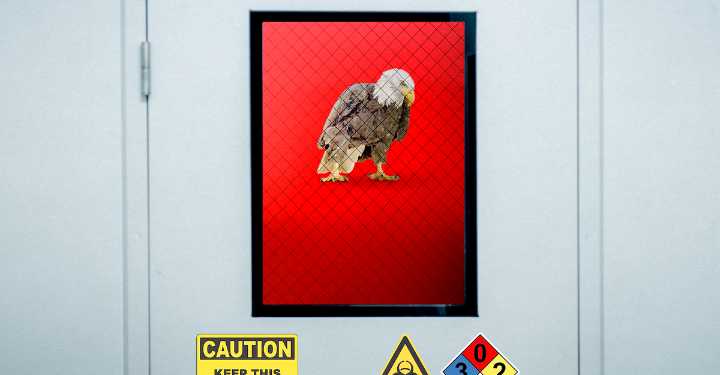 Trump’s Animal-Research Plan Has a Missing Step