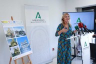 El Consejo de Gobierno aprueba que la Agencia Tributaria andaluza divida una deuda de 12,8 millones en pagos durante 15 años