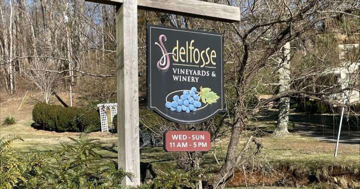 Nelson officials open to sister city relationship with international locality