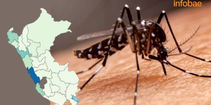 “Ficha de los 10 minutos”: la herramienta que empodera a las familias peruanas en la lucha contra el dengue