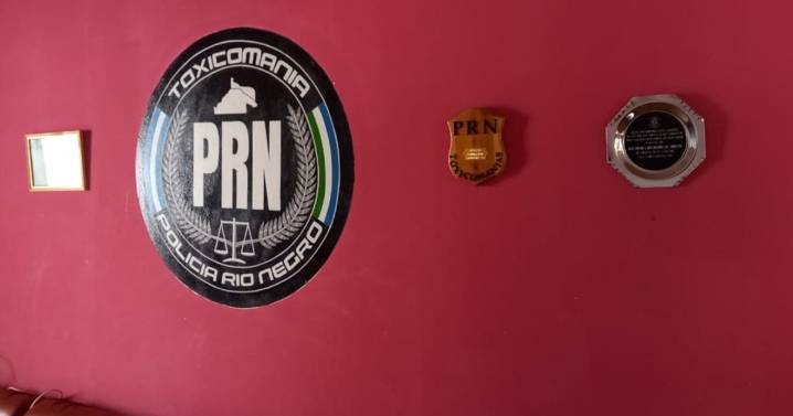 Marihuana, LSD y anfetaminas: la lista de lo que secuestró la policía en una fiesta electrónica de Cipolletti