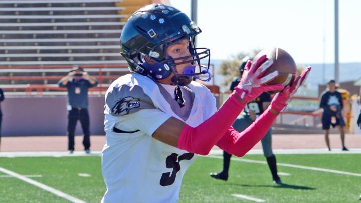 Chaparral HS football team to play for trip to Class 4A state finals