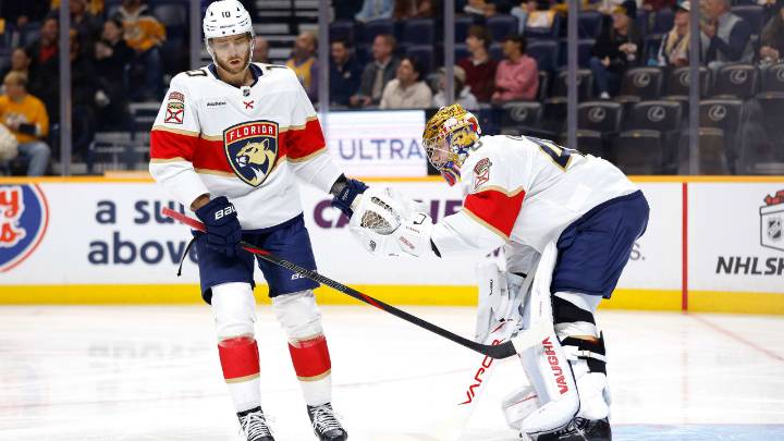 Panthers score 8, cruise to win against Predators