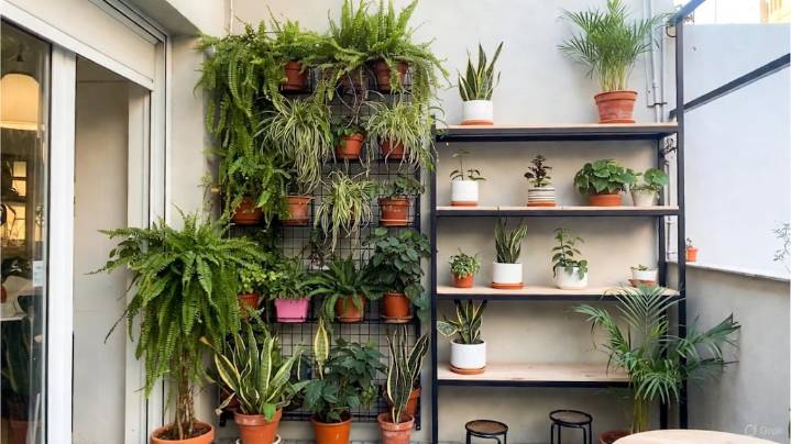 Adiós al patio sin estilo: 10 ideas que son tendencia en Buenos Aires para el verano 2026