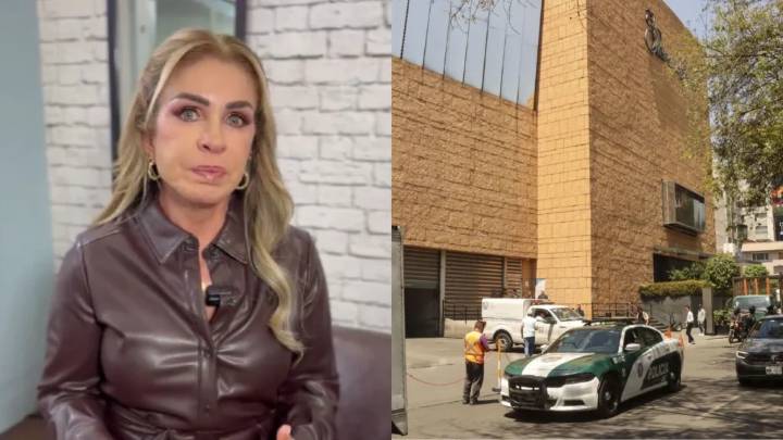 Sufrí un robo en Palacio de Hierro: Rocío Sánchez Azuara