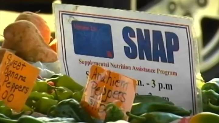Illinois SNAP benefit restoration begins Friday, IDHS says