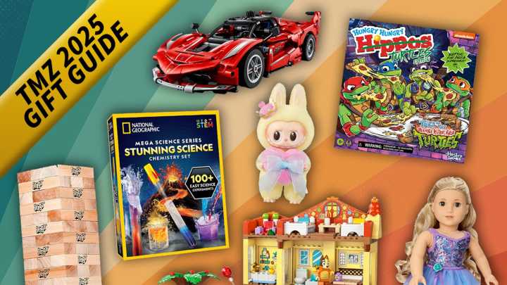TMZ Gift Guide: The Top Toys for Holiday 2025