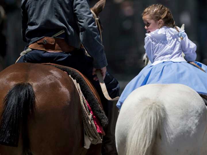 Día de la Tradición 2025: significado y origen del 10 de noviembre