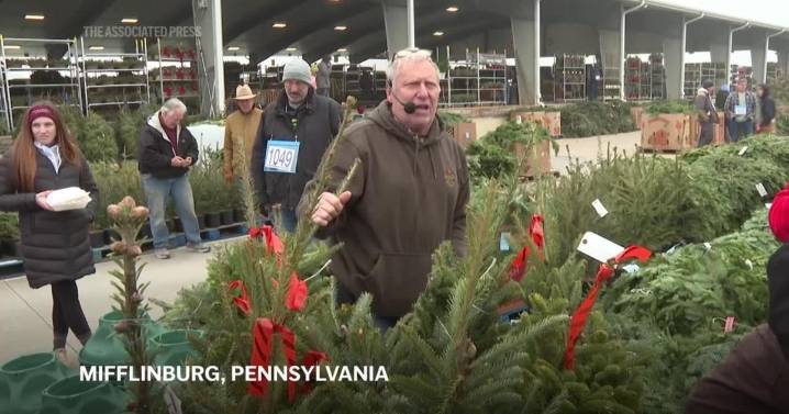 Christmas went on the auction block this week in Pennsylvania farm country