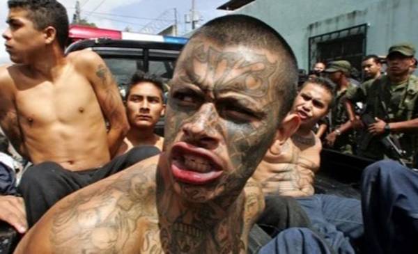 Advierten que las pandillas conocidas como “Maras” podrían volver a instalarse en la Argentina
