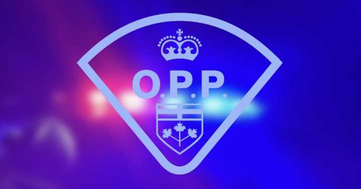 Bobcaygeon woman dies after head-on crash on County Road 36