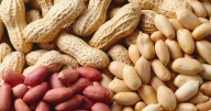 Maní: un aliado para reducir el colesterol y proteger el corazón