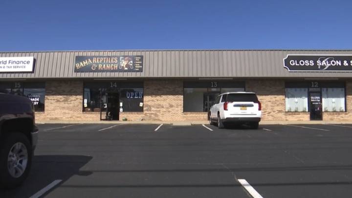 Northport City Council revokes massage parlor's business license month after raids