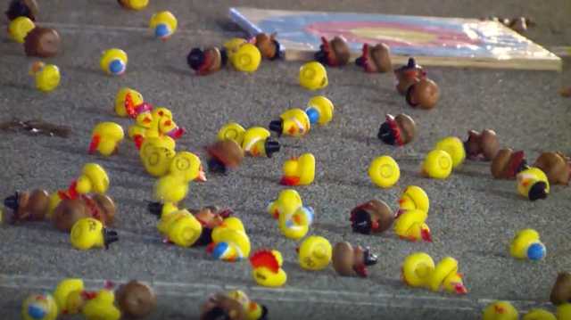 Third annual Turkey Drop in Hamilton raises thousands of dollars for local food bank